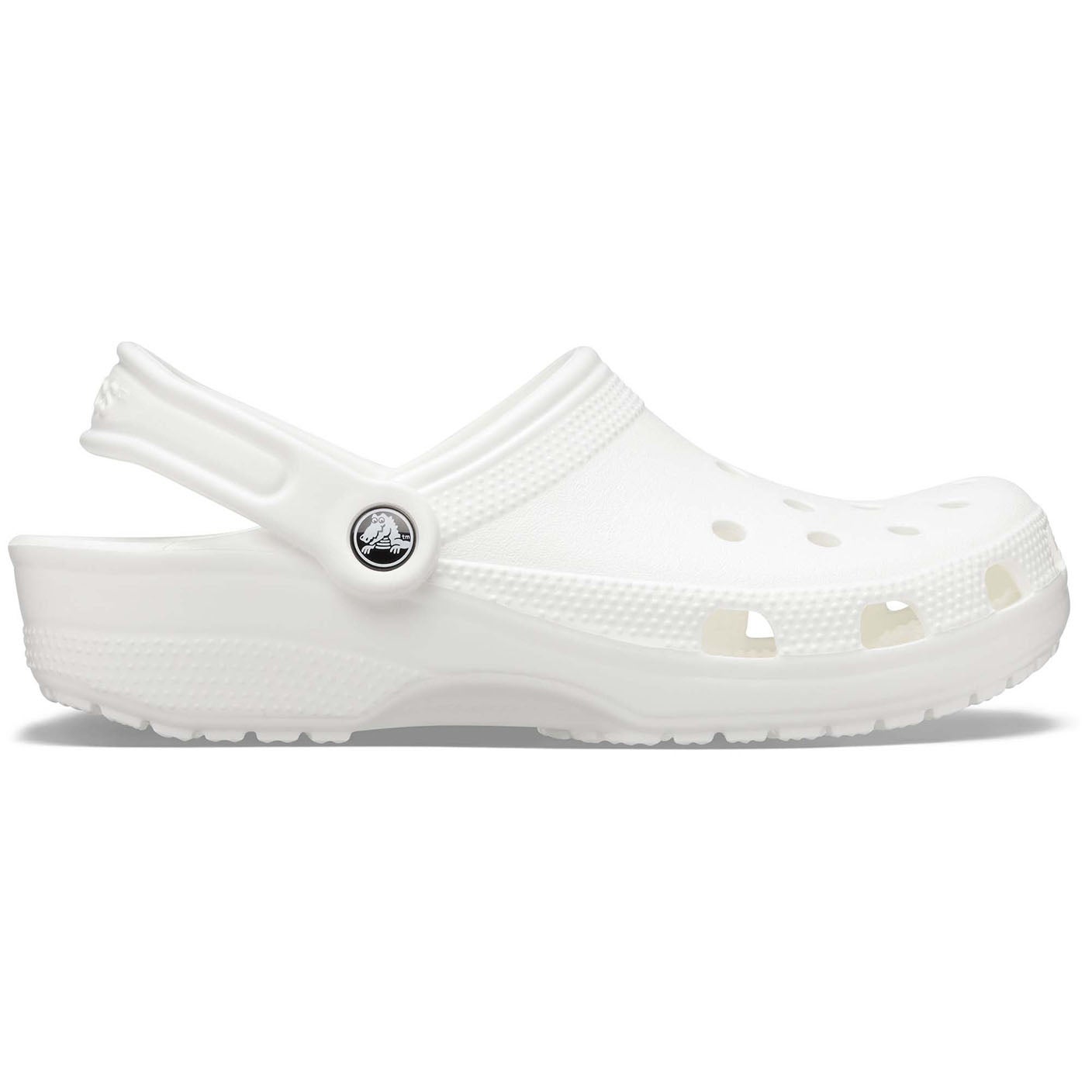 Classic Clog | Chances Surf NZ